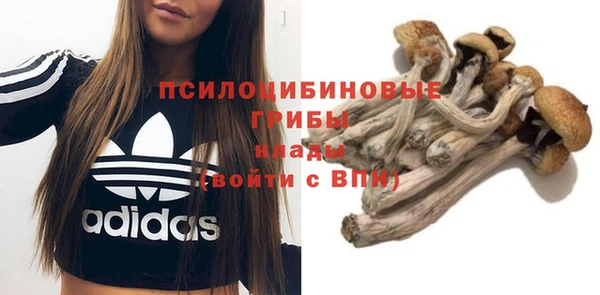 PSILOCYBIN Алексеевка