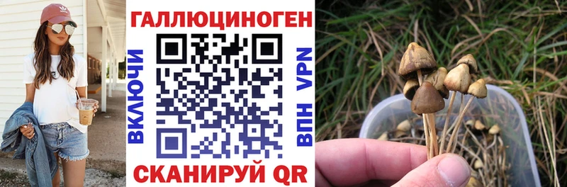 даркнет сайт  Нижний Ломов  MEGA маркетплейс  Псилоцибиновые грибы GOLDEN TEACHER 